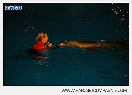 Marineland - Dauphins - Spectacle - 17h30 - 7506