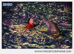 Marineland - Dauphins - Spectacle - 17h30 - 7508