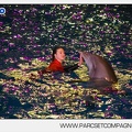 Marineland - Dauphins - Spectacle - 17h30 - 7509