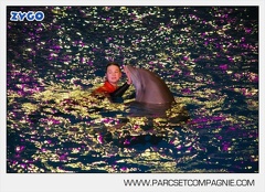 Marineland - Dauphins - Spectacle - 17h30 - 7510