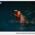 Marineland - Dauphins - Spectacle - 17h30 - 7511