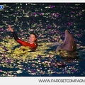 Marineland - Dauphins - Spectacle - 17h30 - 7513