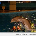 Marineland - Dauphins - Spectacle - 17h30 - 7514