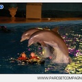 Marineland - Dauphins - Spectacle - 17h30 - 7515