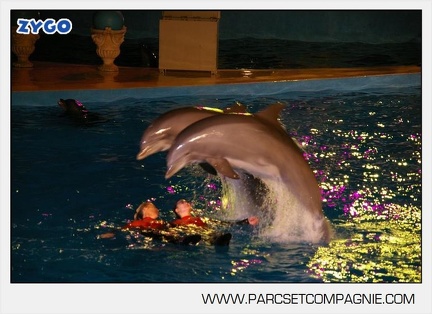 Marineland - Dauphins - Spectacle - 17h30 - 7515