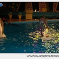 Marineland - Dauphins - Spectacle - 17h30 - 7516