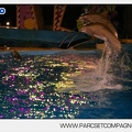 Marineland - Dauphins - Spectacle - 17h30 - 7517