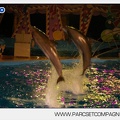 Marineland - Dauphins - Spectacle - 17h30 - 7518