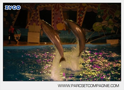 Marineland - Dauphins - Spectacle - 17h30 - 7518