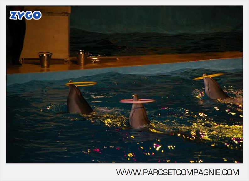 Marineland - Dauphins - Spectacle - 17h30 - 7519