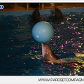 Marineland - Dauphins - Spectacle - 17h30 - 7520