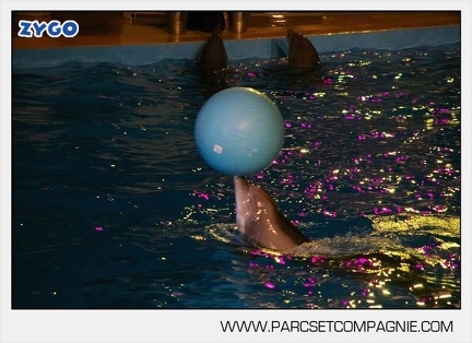 Marineland - Dauphins - Spectacle - 17h30 - 7520