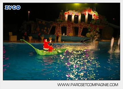 Marineland - Dauphins - Spectacle - 17h30 - 7526