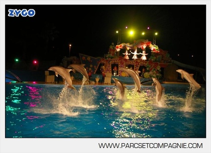 Marineland - Dauphins - Spectacle - 17h30 - 7530