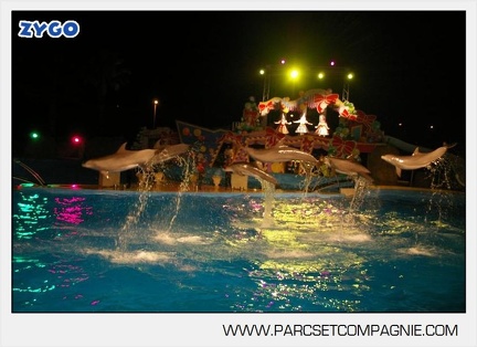 Marineland - Dauphins - Spectacle - 17h30 - 7531