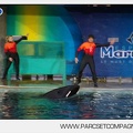 Marineland - Orques - Spectacle - 7624