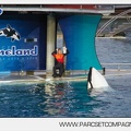 Marineland - Orques - Spectacle - 7632