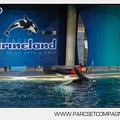 Marineland - Orques - Spectacle - 7634