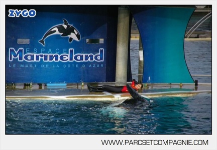 Marineland - Orques - Spectacle - 7634
