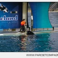 Marineland - Orques - Spectacle - 7637