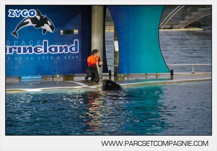 Marineland - Orques - Spectacle - 7637