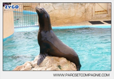 Marineland - Otaries - Portraits - 7902