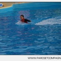 Marineland - Dauphins - Spectacle 14h45 - 0001