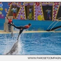 Marineland - Dauphins - Spectacle 14h45 - 0005