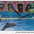 Marineland - Dauphins - Spectacle 14h45 - 0006