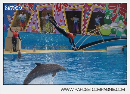 Marineland - Dauphins - Spectacle 14h45 - 0006