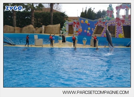Marineland - Dauphins - Spectacle 14h45 - 0007