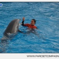 Marineland - Dauphins - Spectacle 14h45 - 0008