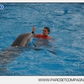 Marineland - Dauphins - Spectacle 14h45 - 0009
