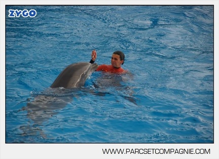 Marineland - Dauphins - Spectacle 14h45 - 0009