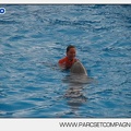 Marineland - Dauphins - Spectacle 14h45 - 0010
