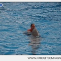 Marineland - Dauphins - Spectacle 14h45 - 0011