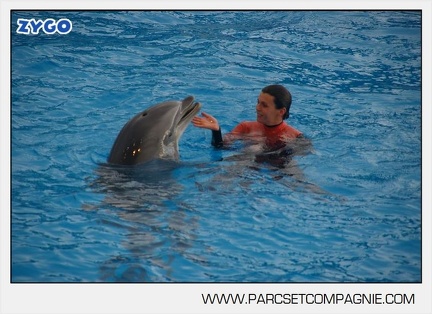 Marineland - Dauphins - Spectacle 14h45 - 0012