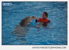 Marineland - Dauphins - Spectacle 14h45 - 0013