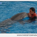 Marineland - Dauphins - Spectacle 14h45 - 0014