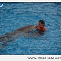 Marineland - Dauphins - Spectacle 14h45 - 0015