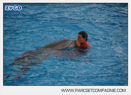 Marineland - Dauphins - Spectacle 14h45 - 0015