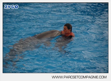 Marineland - Dauphins - Spectacle 14h45 - 0016