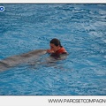Marineland - Dauphins - Spectacle 14h45 - 0017