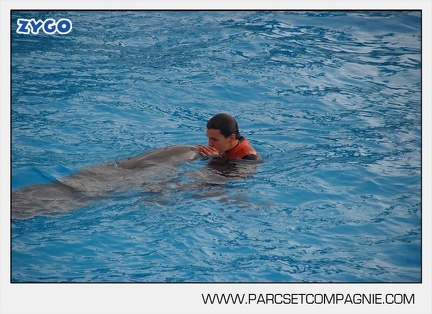 Marineland - Dauphins - Spectacle 14h45 - 0017
