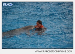 Marineland - Dauphins - Spectacle 14h45 - 0018