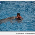 Marineland - Dauphins - Spectacle 14h45 - 0018