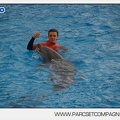 Marineland - Dauphins - Spectacle 14h45 - 0019