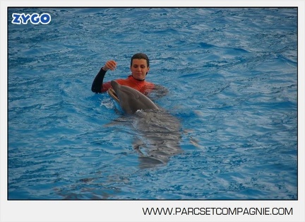 Marineland - Dauphins - Spectacle 14h45 - 0019