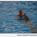 Marineland - Dauphins - Spectacle 14h45 - 0020