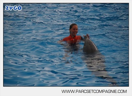 Marineland - Dauphins - Spectacle 14h45 - 0021